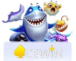 ACEWIN
