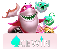 ACEWIN