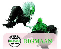 Digmaan