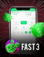 Fast3